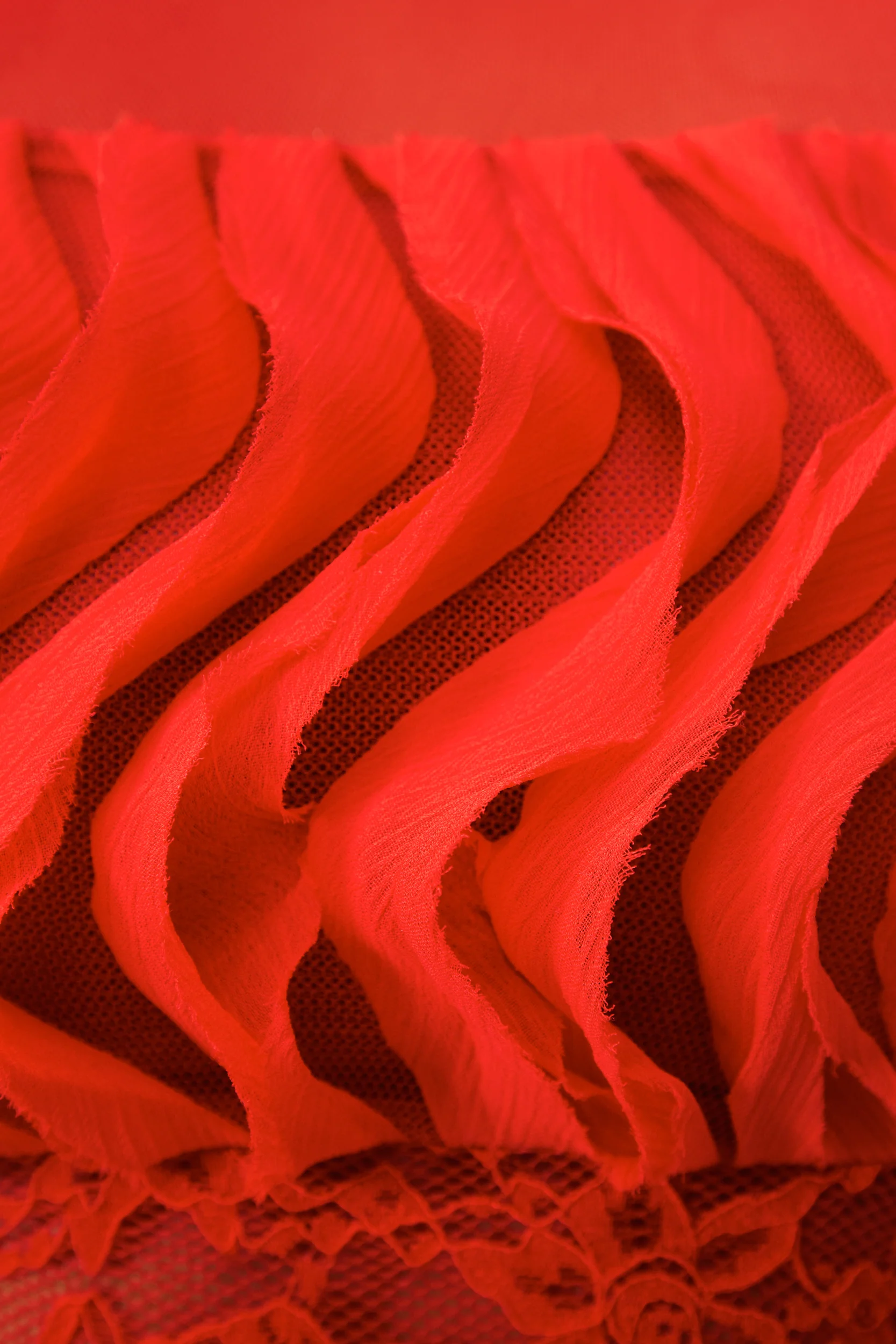 Anthurium Bodysuit - Image 5